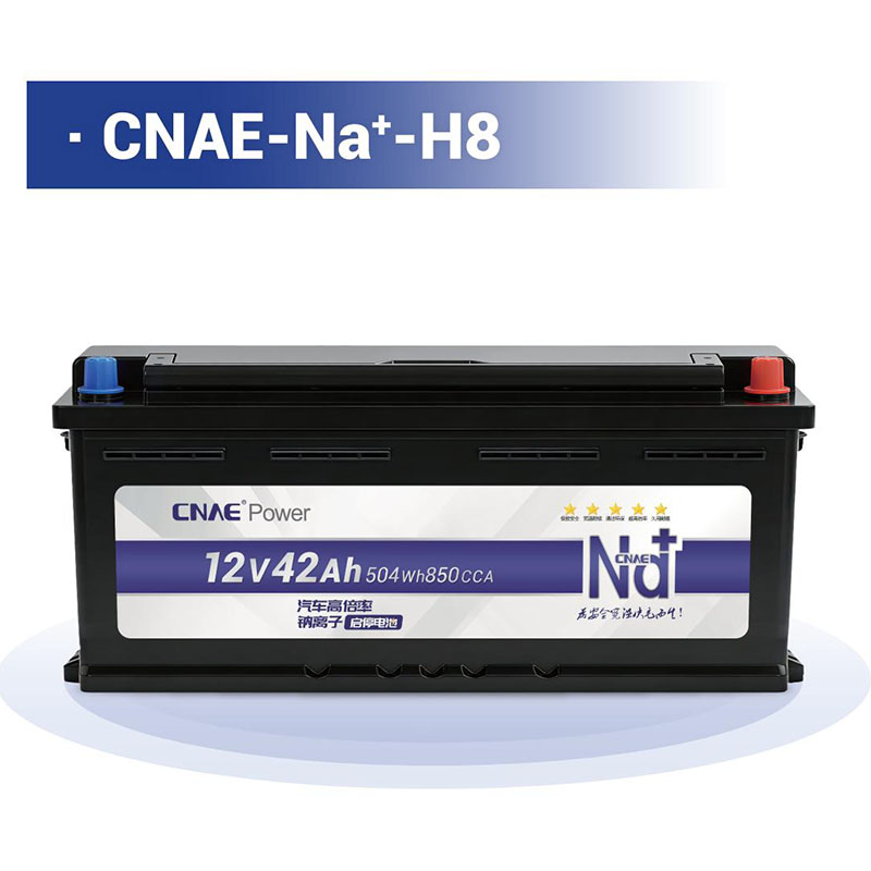 CNAE-Na<sup>+</sup>-H8