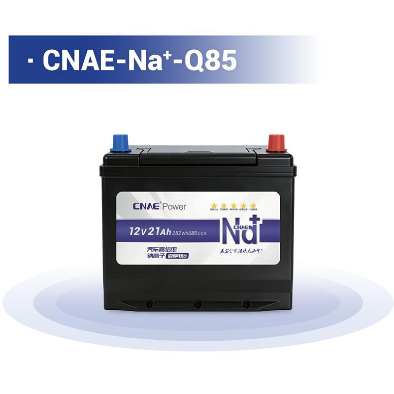 CNAE-Na<sup>+</sup>-Q85