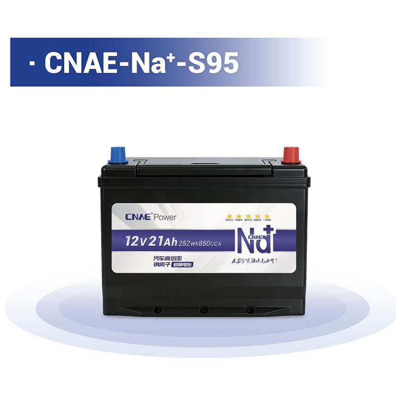 CNAE-Na<sup>+</sup>-S95